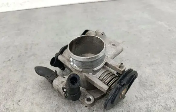 Chevrolet Aveo Throttle body valve 