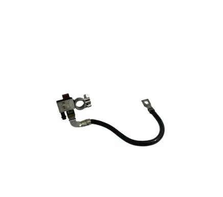 BMW 4 F32 F33 Negative earth cable (battery) 9306405 61219306405