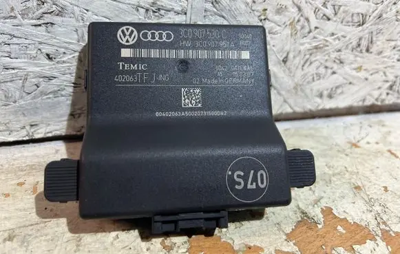 Volkswagen PASSAT B6 Gateway control module 3C0907530C