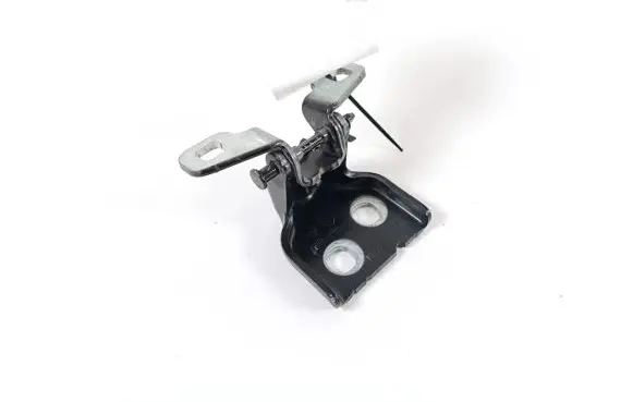 Dacia Sandero III Rear door lower hinge