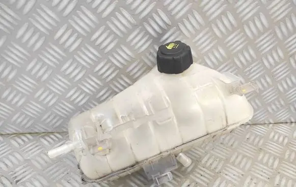 Renault Kangoo II Coolant expansion tank/reservoir 8200455786 050352