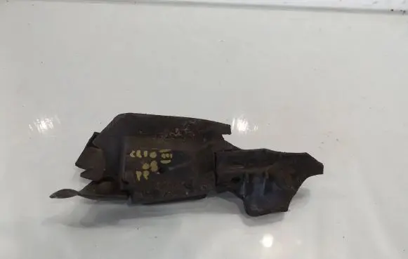 Renault Clio III Front door upper hinge