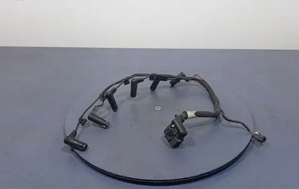 BMW X6 E71 Other wiring loom 7808257