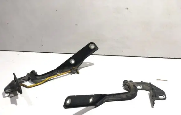 Engine bonnet/hood hinges