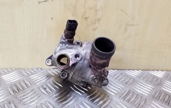 Thermostat/thermostat housing