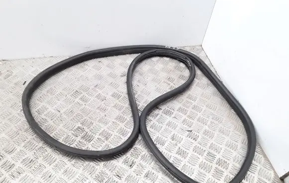 Citroen C4 Grand Picasso Rear door rubber seal (on body) 