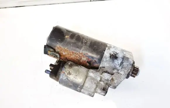 Porsche Cayenne (9PA) Starter motor 1005831305