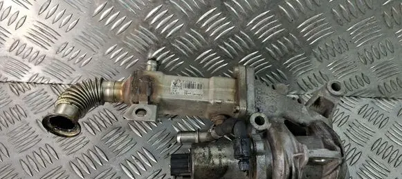 Renault Scenic II - Grand scenic II EGR valve cooler 50006604 8200463548