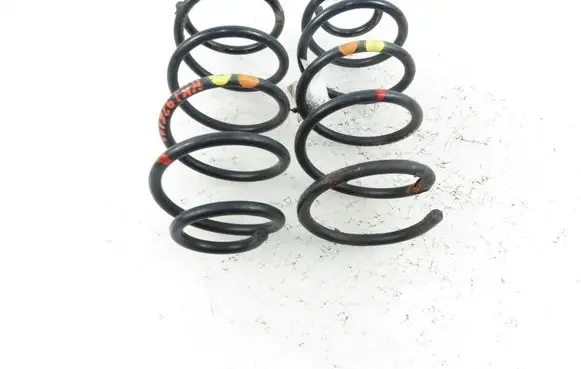 Fiat Punto (199) Rear coil spring 