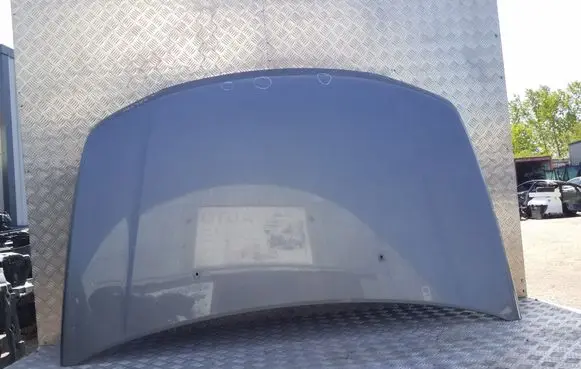 Suzuki Grand Vitara II Engine bonnet/hood