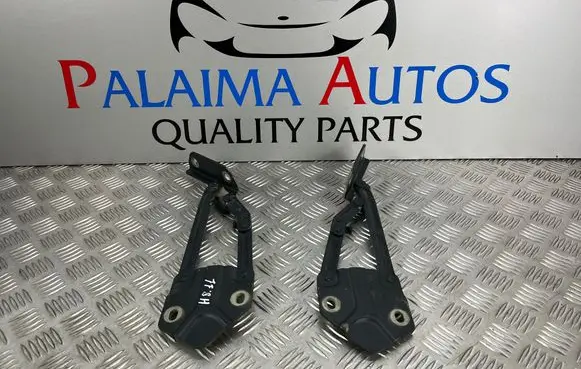 Volkswagen Touran I Engine bonnet/hood hinges 1T0823301E