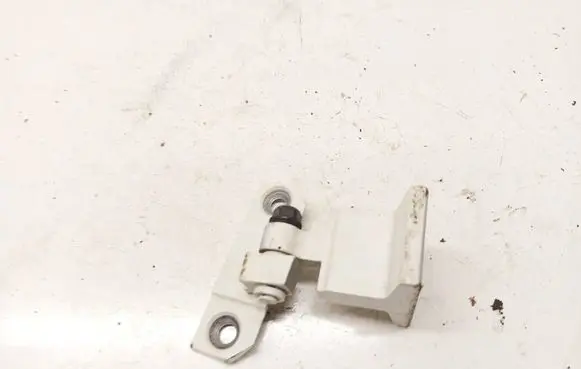 BMW X6 E71 Rear door lower hinge 