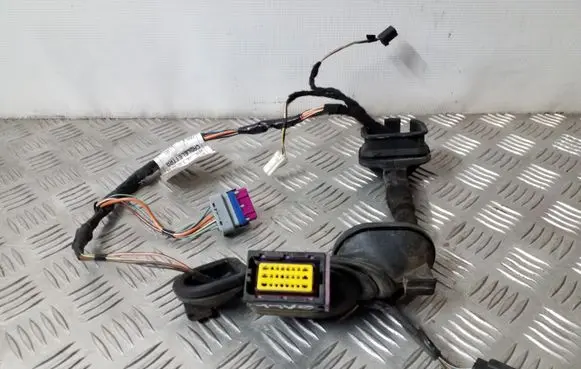 Rear door wiring loom
