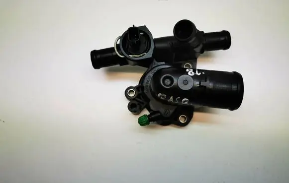 Thermostat/thermostat housing