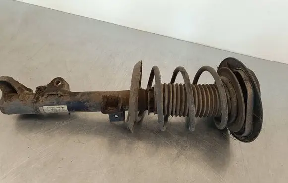 Mercedes-Benz CLS C218 X218 Front shock absorber with coil spring 