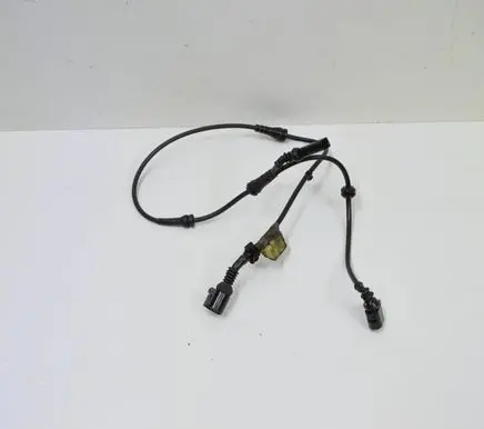 Other wiring loom