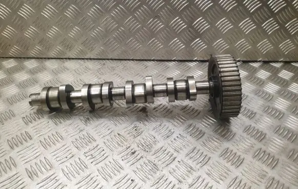 Volkswagen PASSAT B5 Camshaft pulley/ VANOS 038109111E