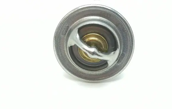 Microcar Virgo Thermostat 9195124 811200