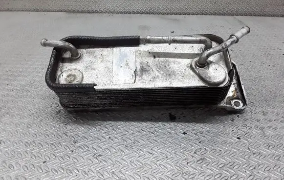 Mercedes-Benz C W203 Fuel cooler (radiator) 