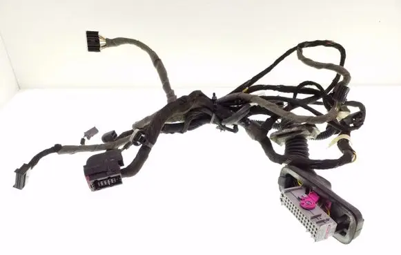 Opel Insignia A Front door wiring loom 22895890