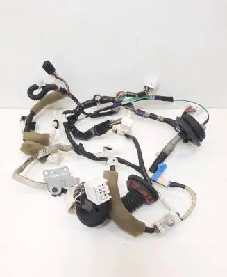 Front door wiring loom
