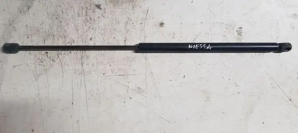 Ford Fiesta Tailgate/trunk strut/damper 96FBB406A10BA