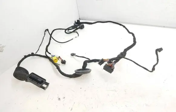 Front door wiring loom