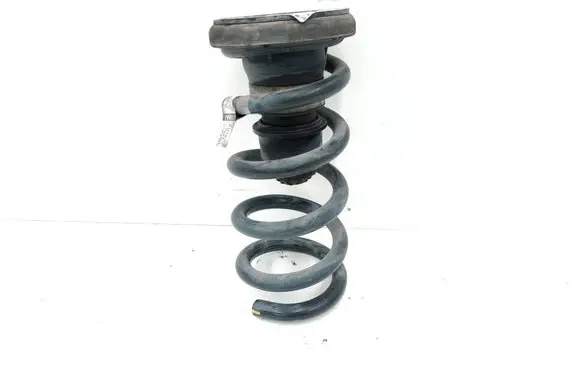 Chrysler Pacifica Rear coil spring P68231026AA 68231026AA