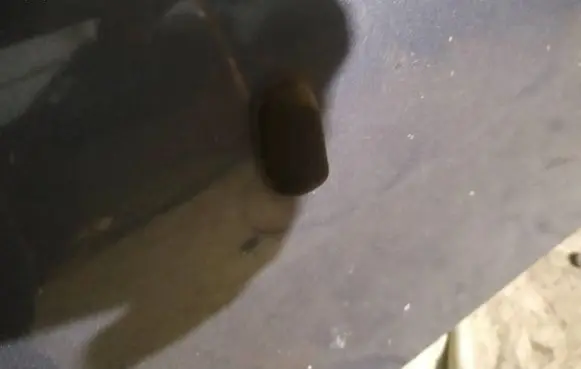 Ford Focus Windshield washer spray nozzle 