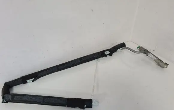 Renault Modus Roof airbag 8200558122 126062483340