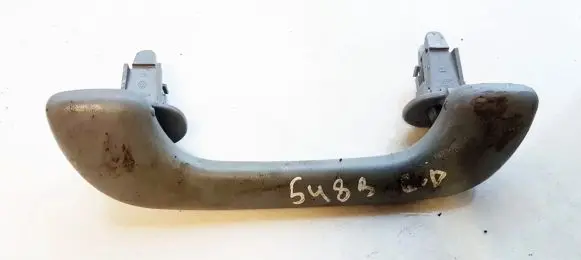 Renault Scenic I Rear interior roof grab handle 1020007