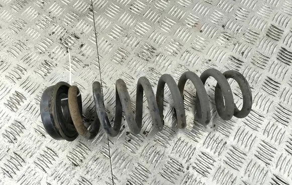 Rear coil spring