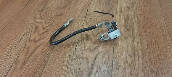 BMW 3 F30 F35 F31 Negative earth cable (battery) 61219117877