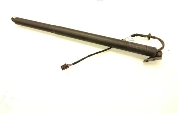 Tailgate/trunk strut/damper