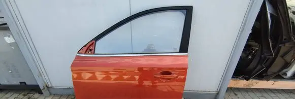 MG ZS Front door