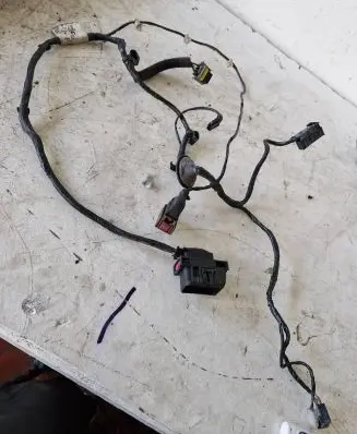 Front door wiring loom