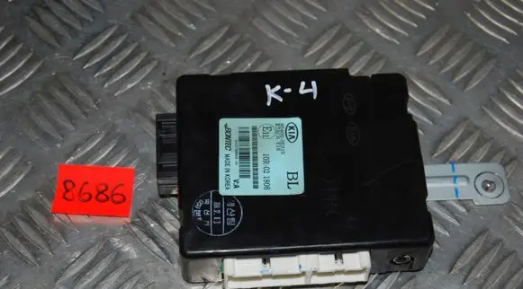 Door central lock control unit/module