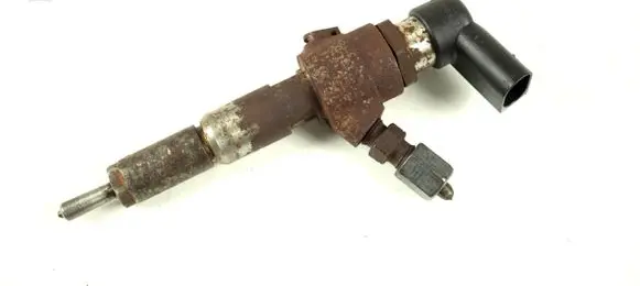 Ford Fiesta Fuel injector 9663429280 5WS40149-Z