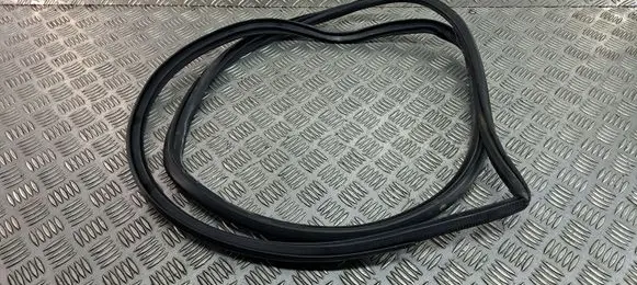 Toyota C-HR I Front door rubber seal 
