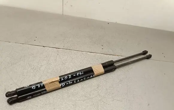 Tailgate/trunk strut/damper