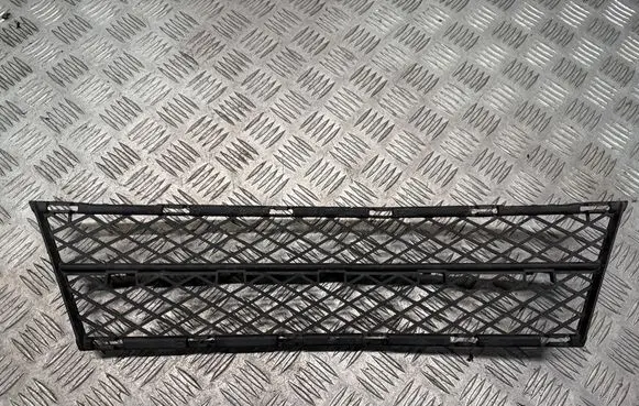 Front bumper lower grill