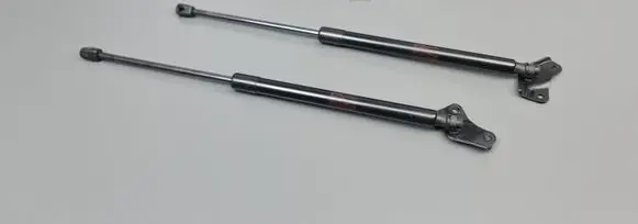 Tailgate strut