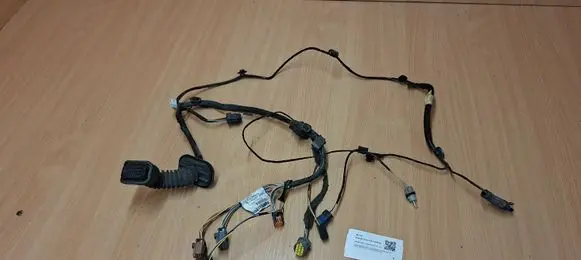 Front door wiring loom