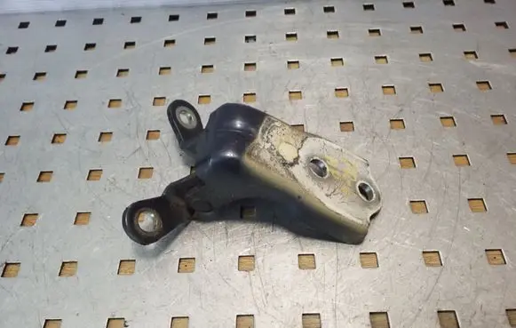 Opel Antara Front door lower hinge 