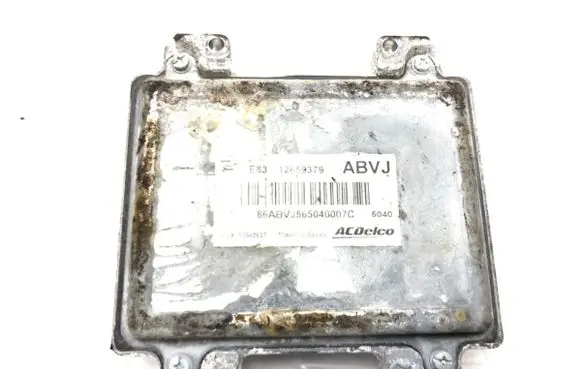 Engine control unit/module ECU