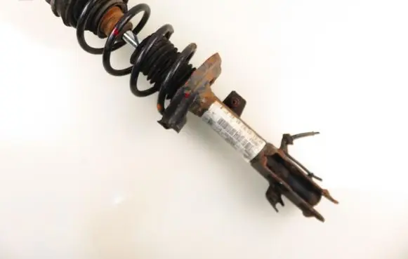 Ford Fiesta Front shock absorber with coil spring 