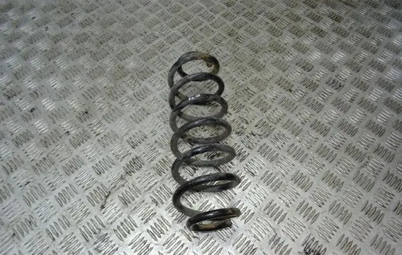 Volkswagen PASSAT B8 Rear coil spring