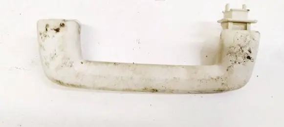 Ford Focus Front interior roof grab handle