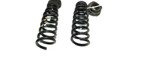 Rear coil spring