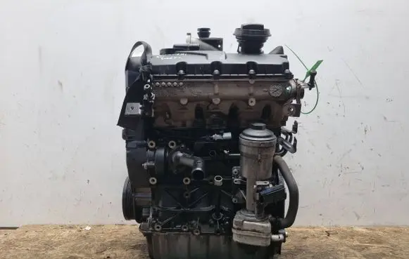 Volkswagen Golf V Engine BXE